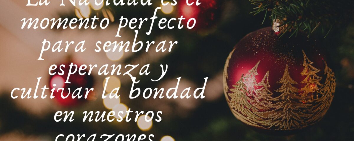 "La Navidad es el momento perfecto para sembrar esperanza y cultivar la bondad en nuestros corazones.