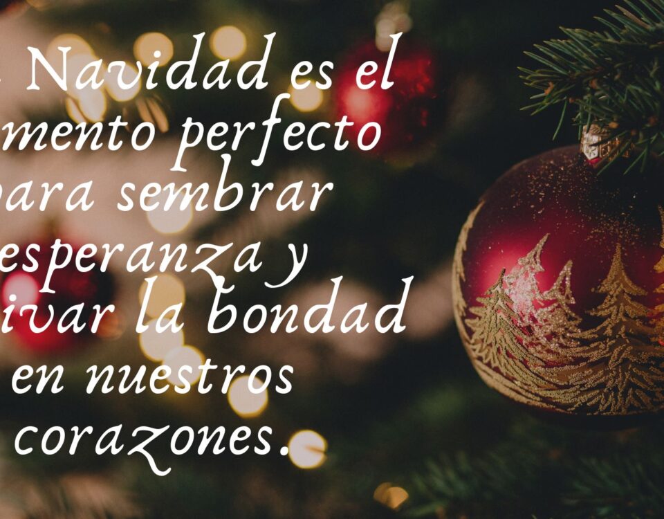 "La Navidad es el momento perfecto para sembrar esperanza y cultivar la bondad en nuestros corazones.