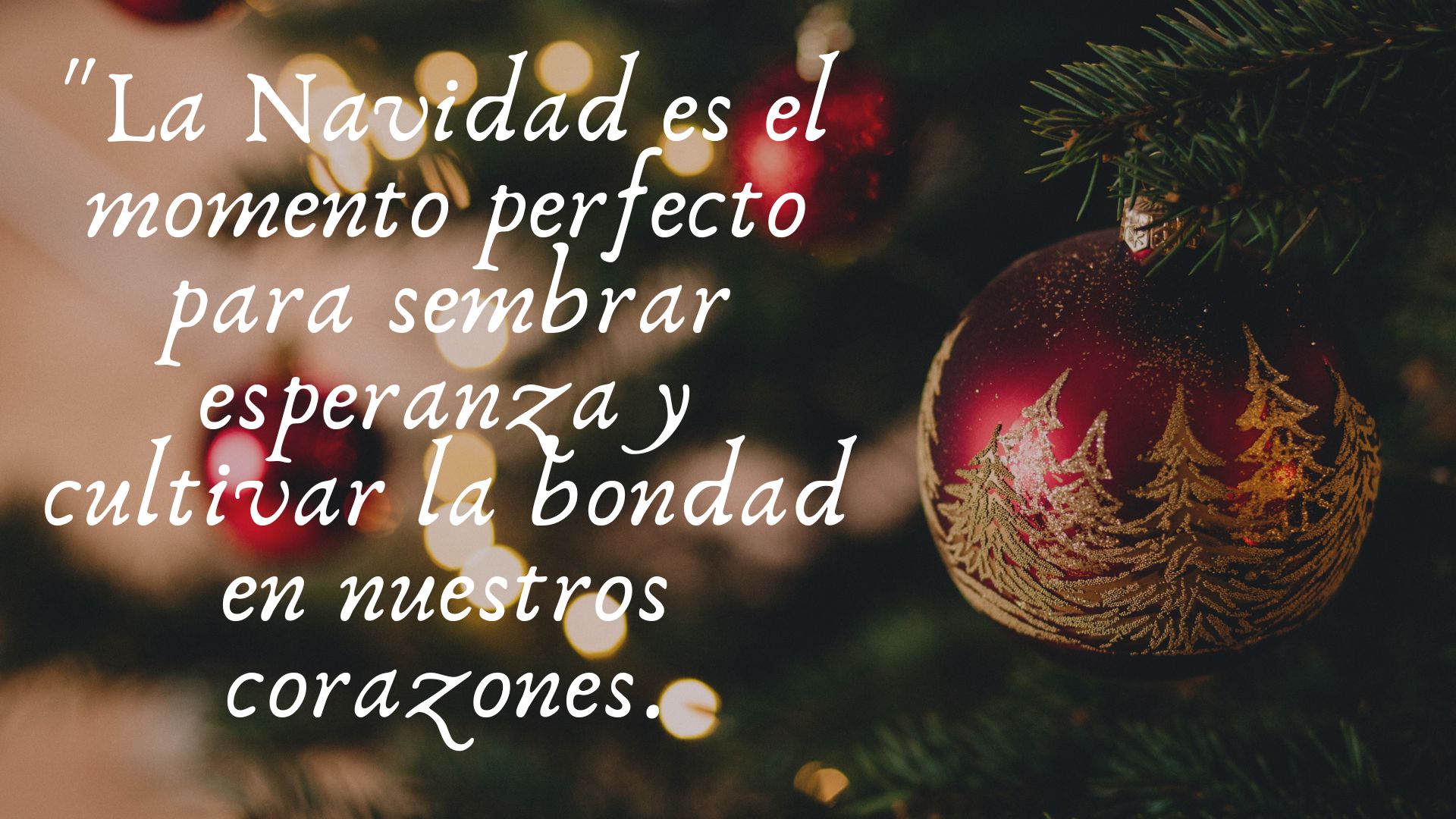 "La Navidad es el momento perfecto para sembrar esperanza y cultivar la bondad en nuestros corazones.